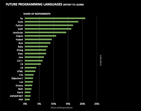 Programiści w Niemczech